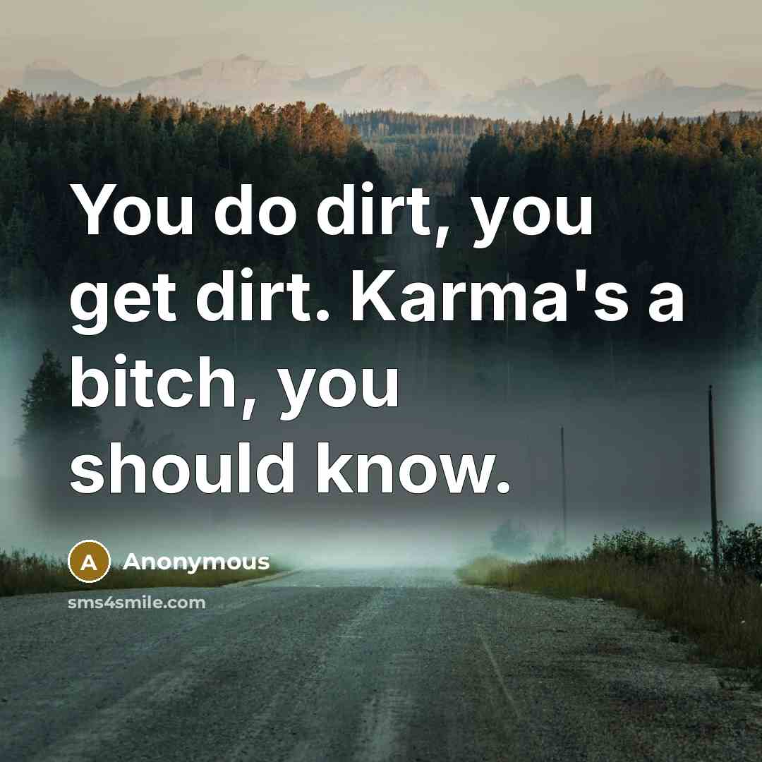 “You do dirt, you get dirt. Karma's a bitch, you…” quote by Anonymous