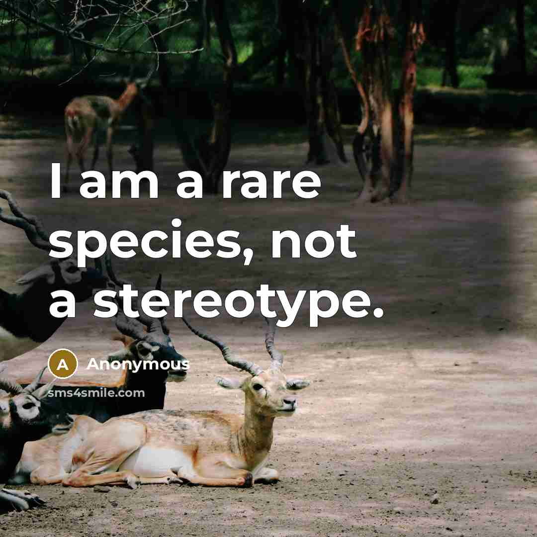 “I am a rare species, not a stereotype.” quote by Anonymous