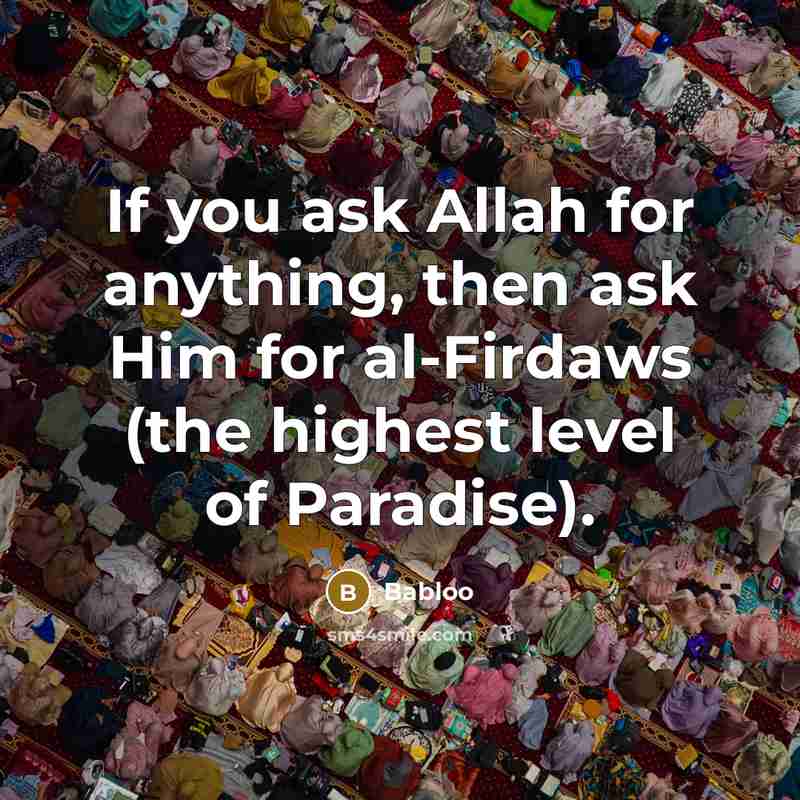 “If you ask Allah for anything, then ask Him for al-Firdaws (the highest level of Paradise).” quote by Babloo
