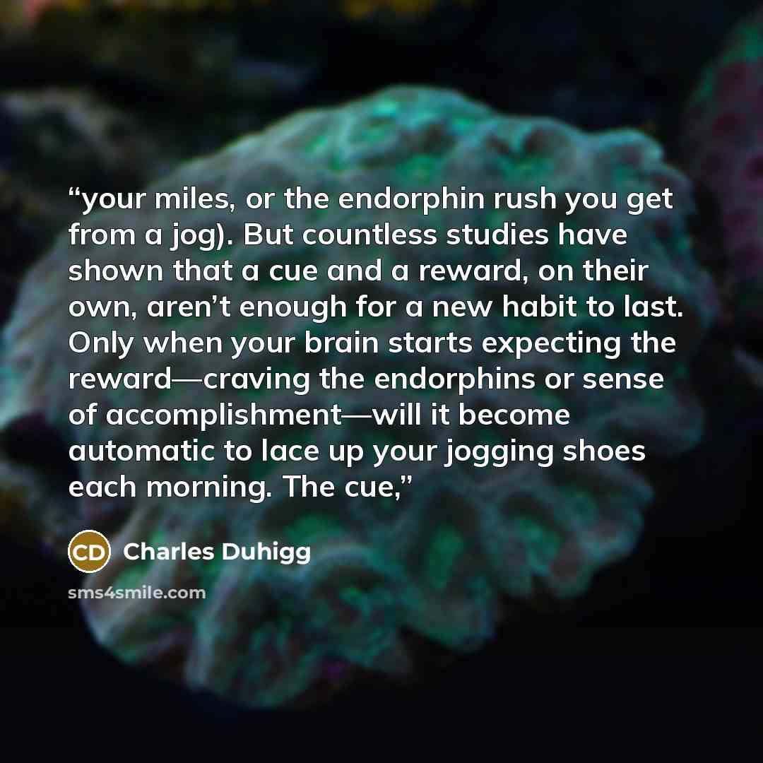 “your miles, or the endorphin rush you get from a jog). But countless studies have shown that a cue and a reward, on their own, aren’t enough for a new habit to last. Only when your brain starts expecting the reward—craving the endorphins or sense of accomplishment—will it become automatic to lace…” quote by Charles Duhigg
