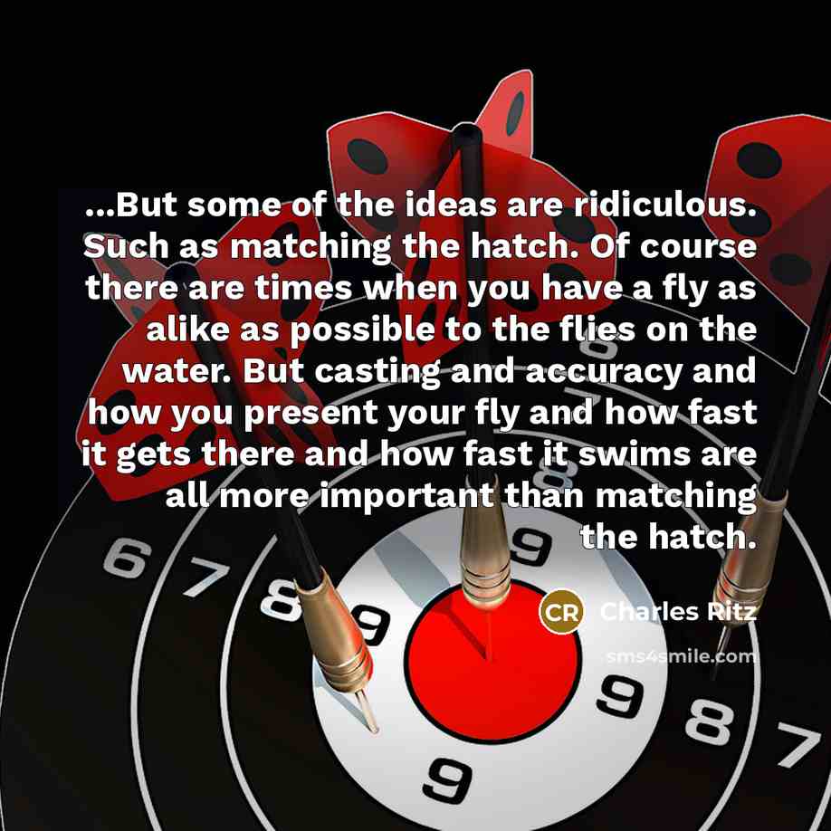 “...But some of the ideas are ridiculous. Such as matching…” quote by Charles Ritz