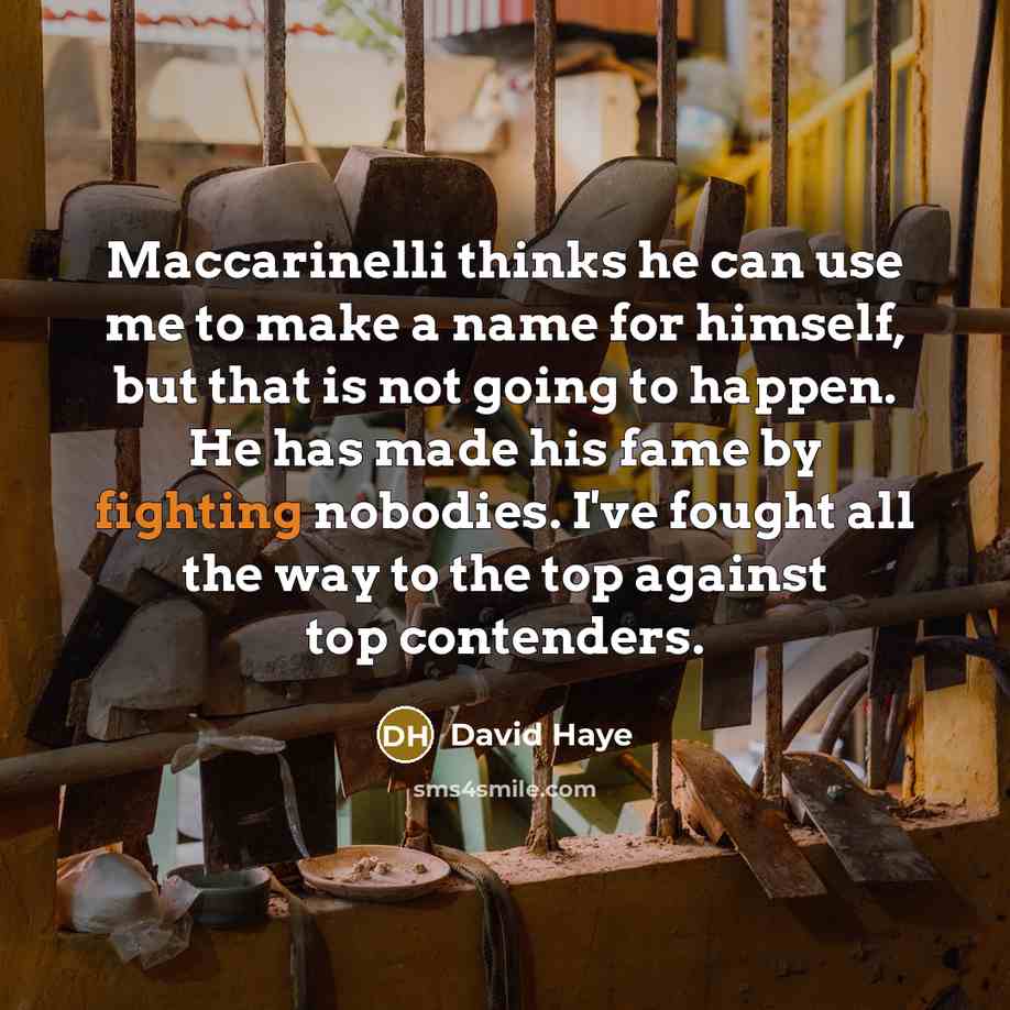 “Maccarinelli thinks he can use me to make a name…” quote by David Haye