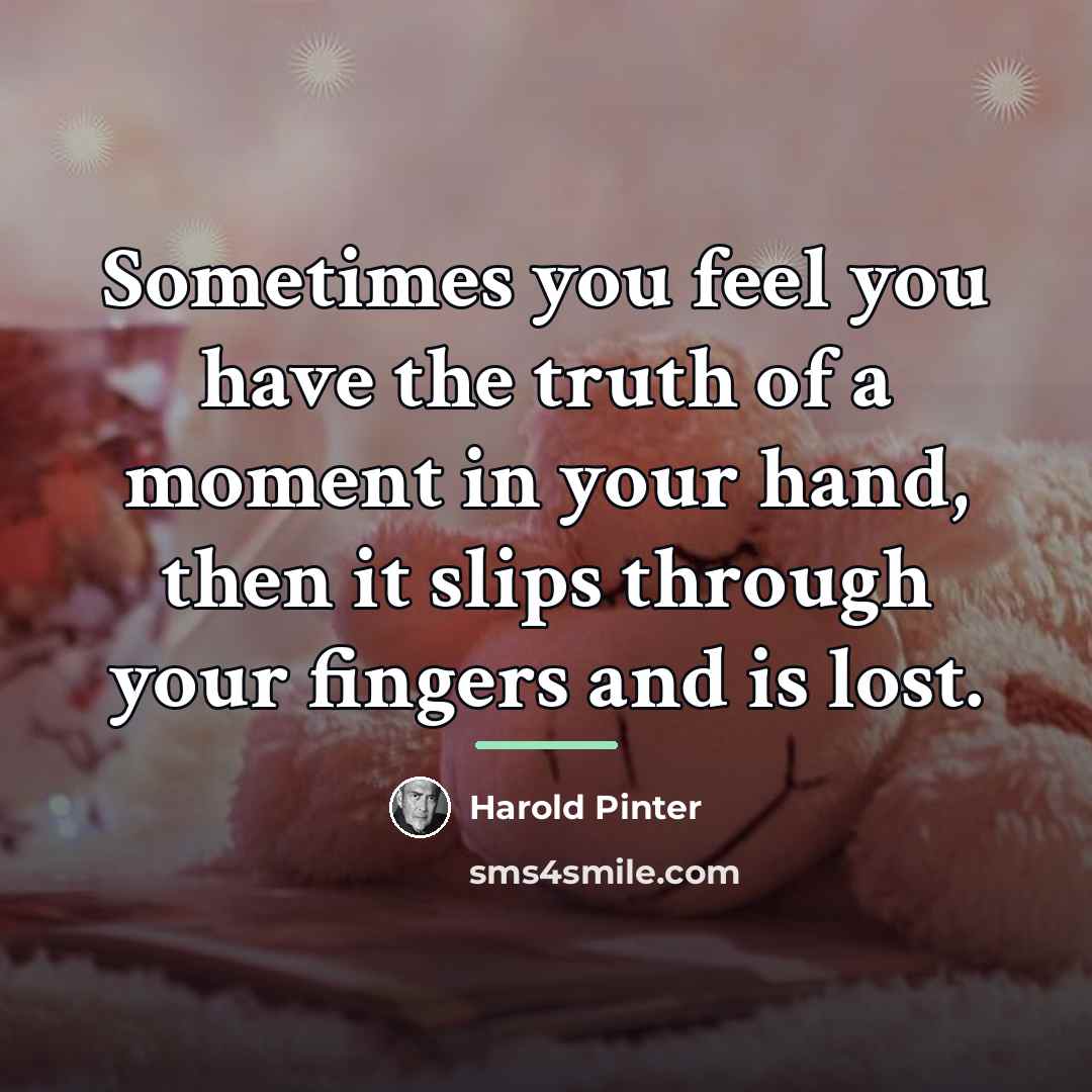 “Sometimes you feel you have the truth of a moment…” quote by Harold Pinter