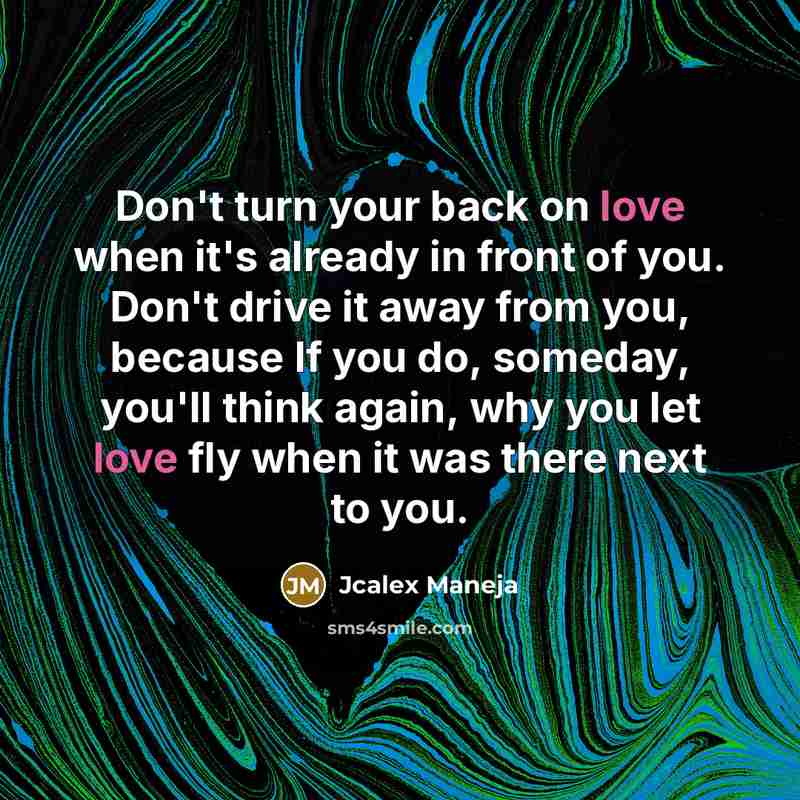 “Don't turn your back on love when it's already in…” quote by Jcalex Maneja
