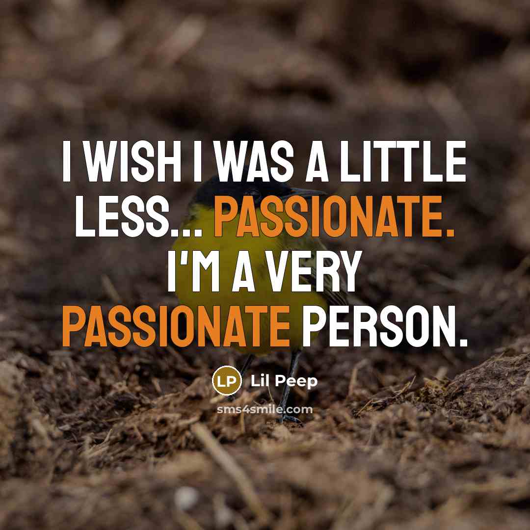 “I wish I was a little less... passionate. I'm a…” quote by Lil Peep