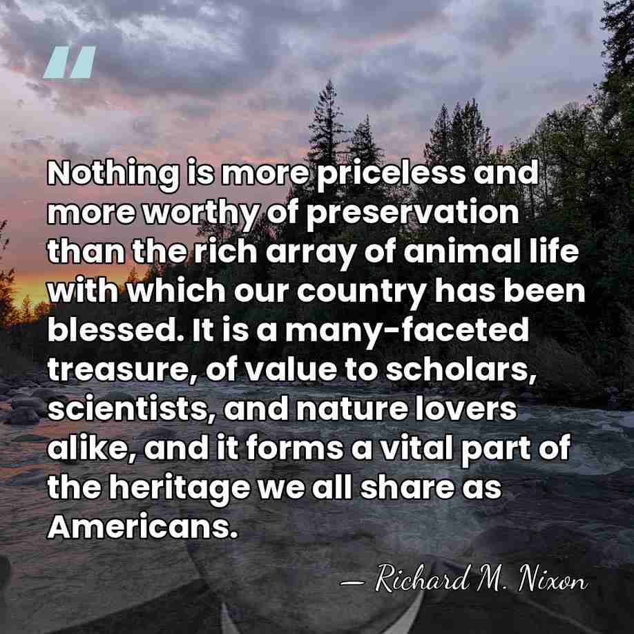 Nothing is more priceless and more worthy of preservation than the rich&hellip; - Richard M. Nixon