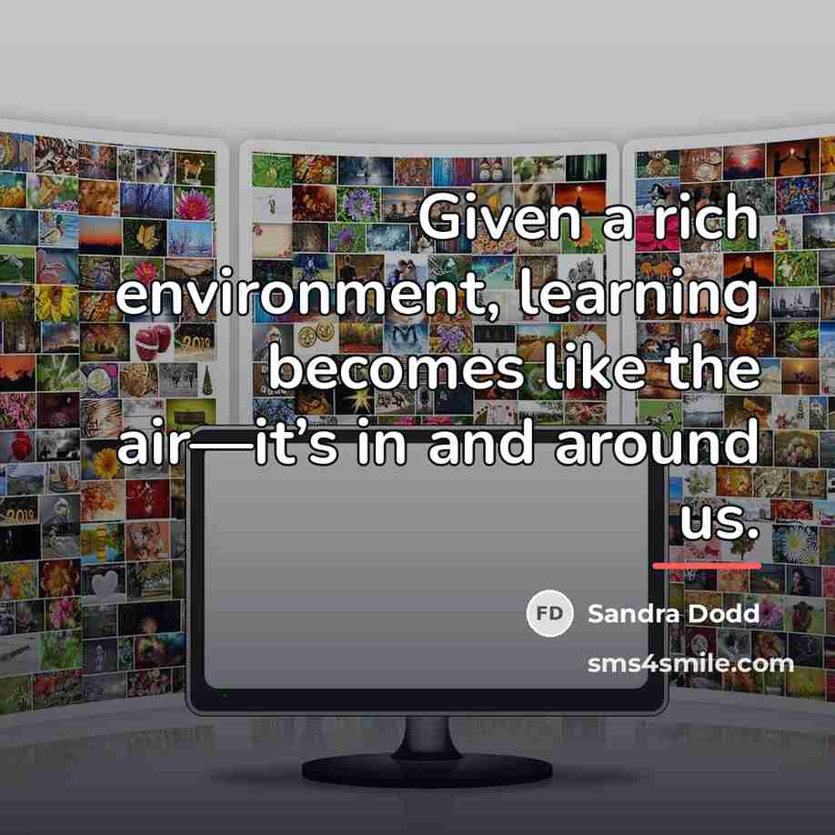 “Given a rich environment, learning becomes like the air—it’s in…” quote by Sandra Dodd