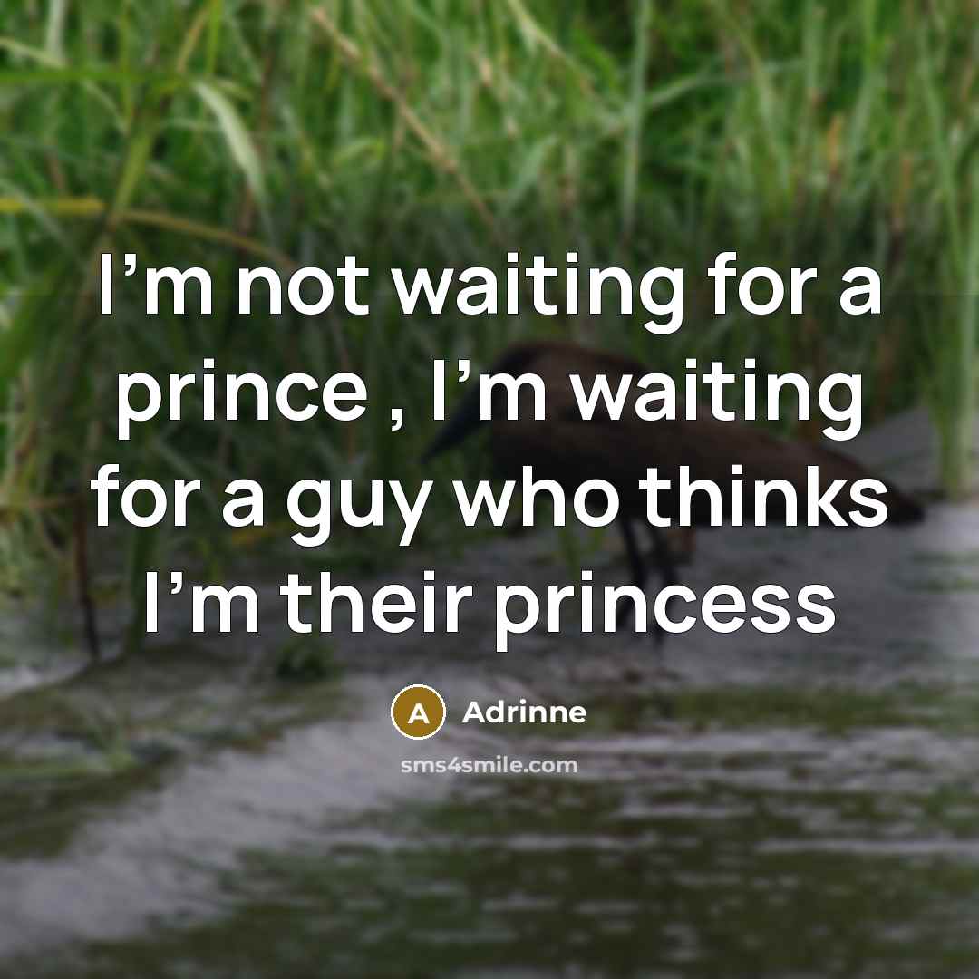 “I'm not waiting for a prince , I'm waiting for…” quote by Adrinne