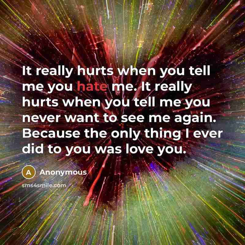 “It really hurts when you tell me you hate me. It really hurts when you tell me you never want to see me again. Because the only thing I ever did to you was love you.” quote by Anonymous