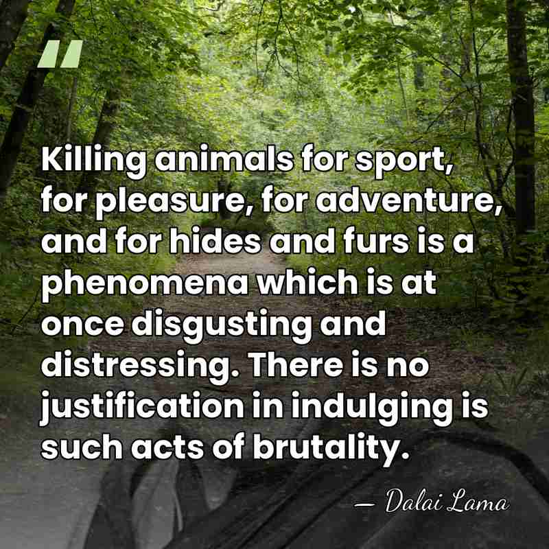 Killing animals for sport, for pleasure, for adventure, and for hides and&hellip; - Dalai Lama