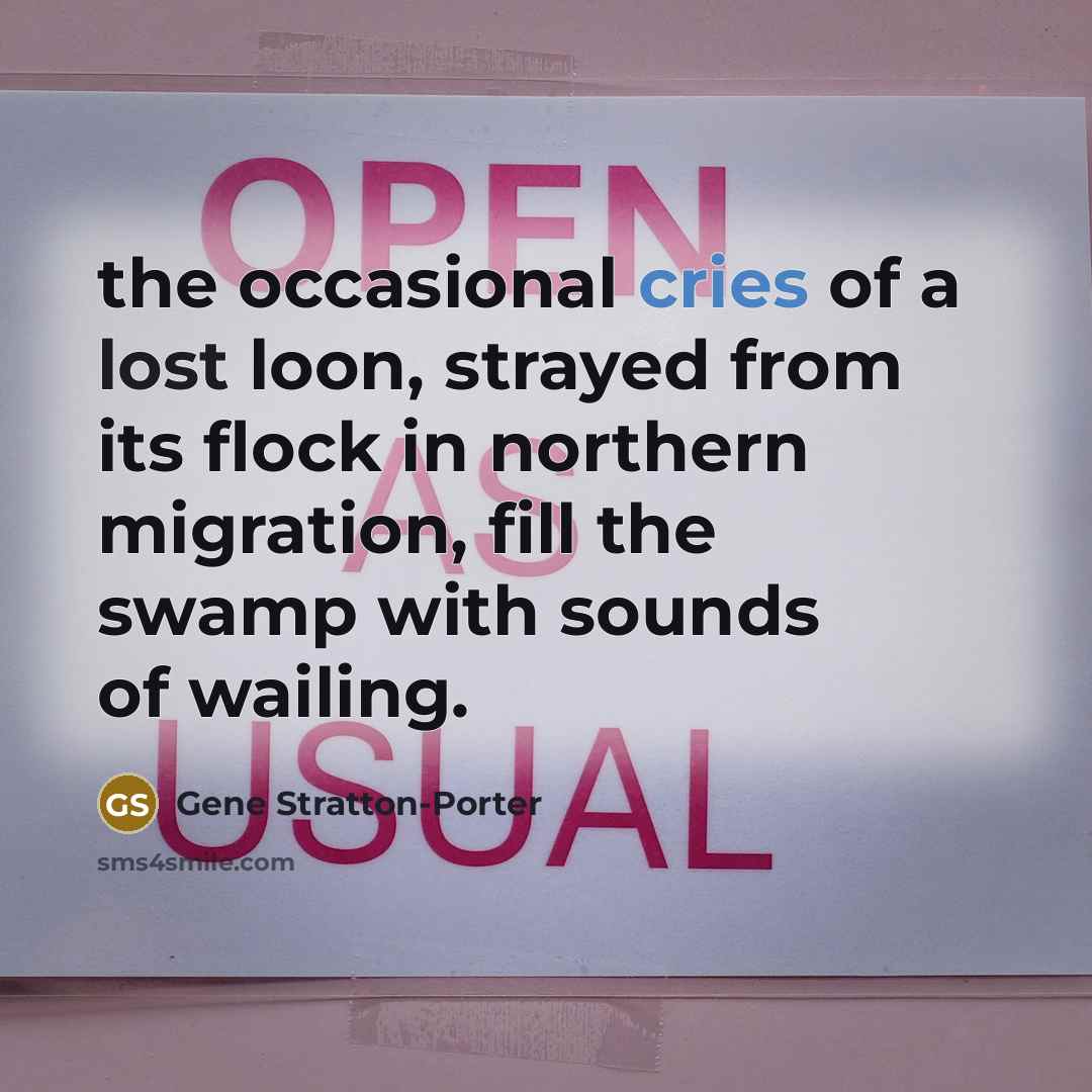 “the occasional cries of a lost loon, strayed from its…” quote by Gene Stratton-Porter