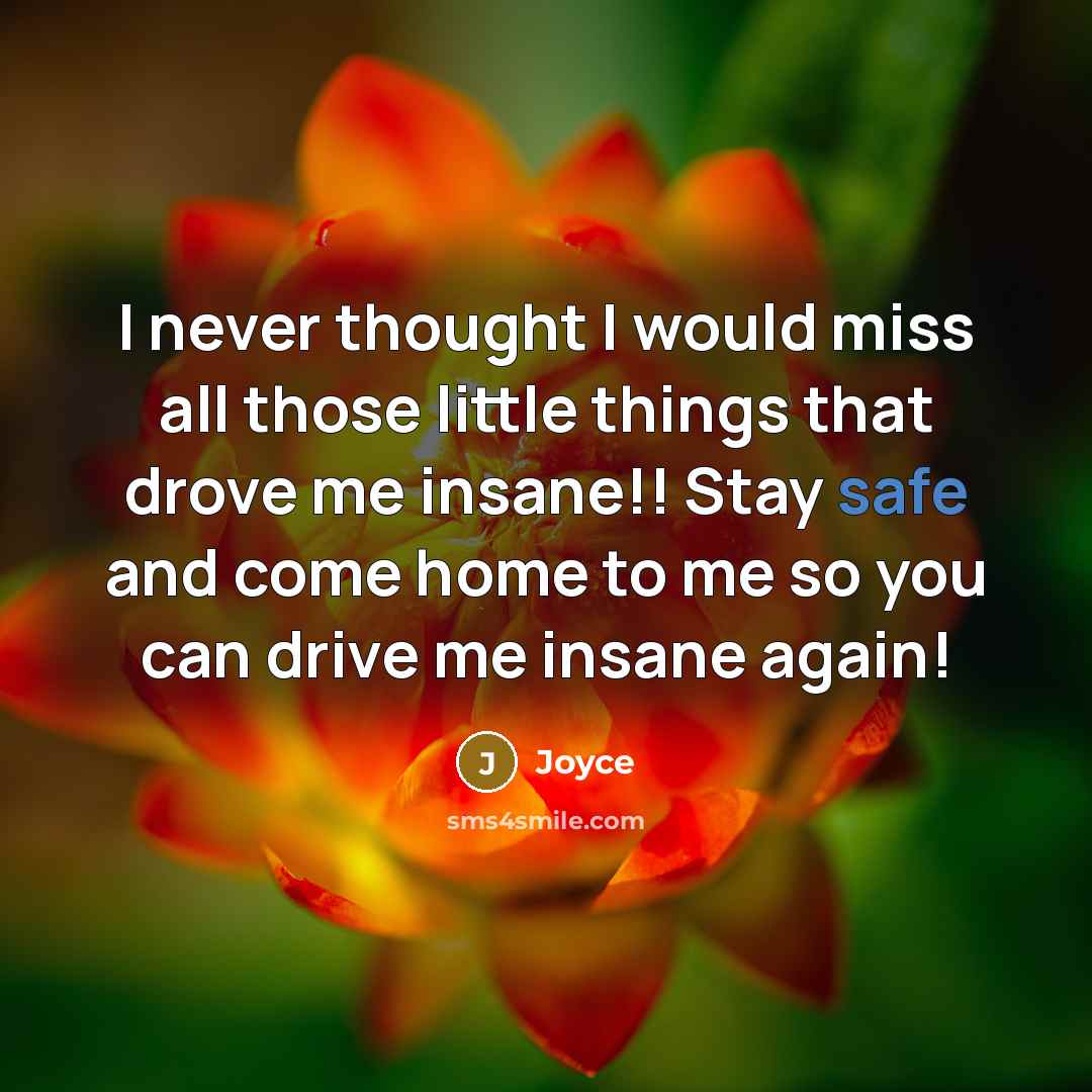 “I never thought I would miss all those little things…” quote by Joyce