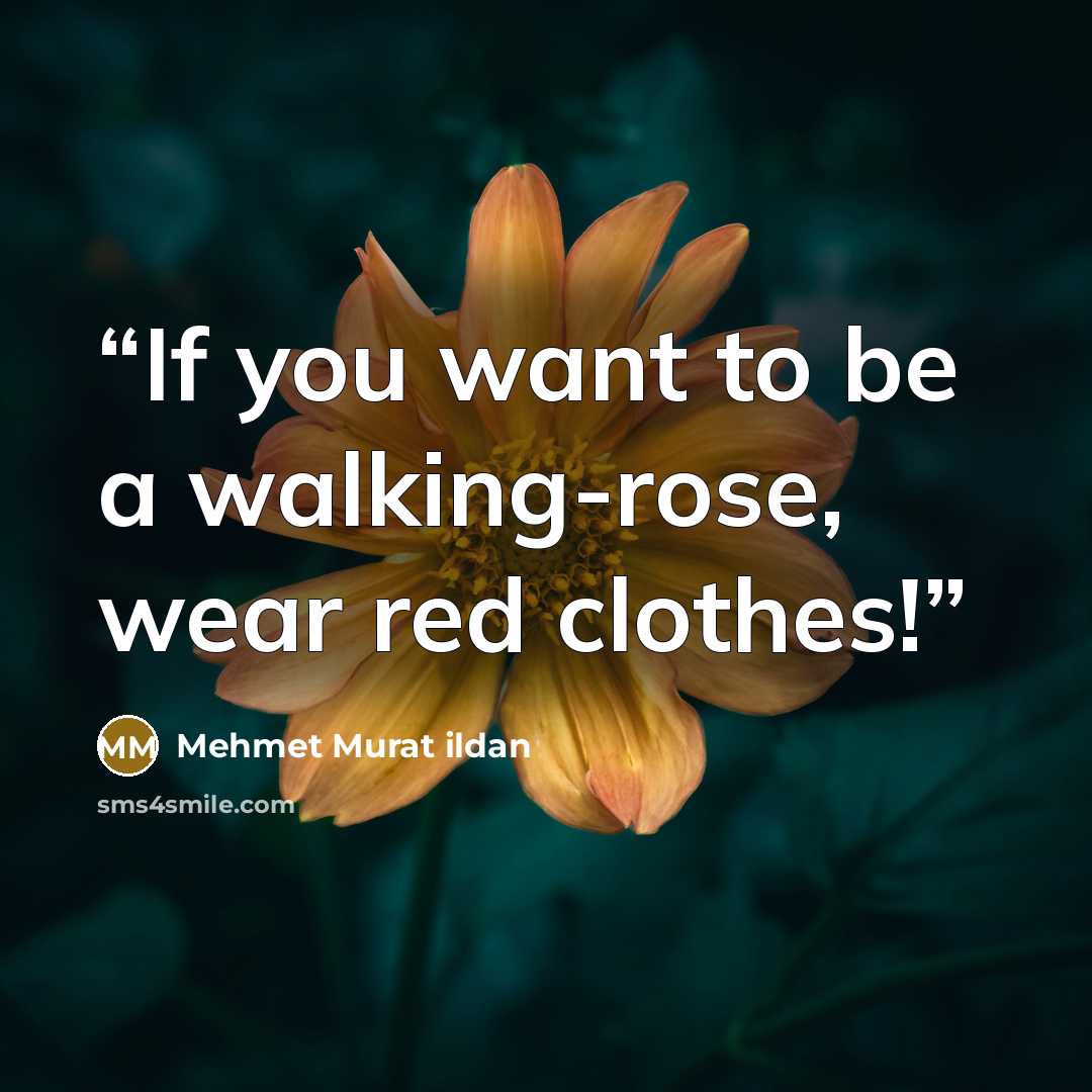 “If you want to be a walking-rose, wear red clothes!” quote by Mehmet Murat ildan