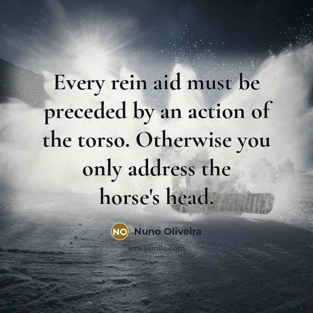 “Every rein aid must be preceded by an action of…” quote by Nuno Oliveira