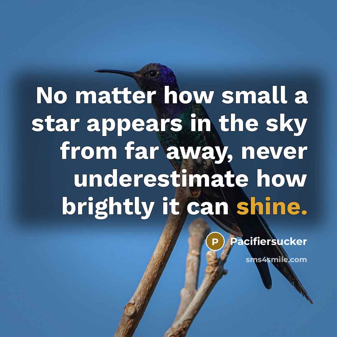 “No matter how small a star appears in the sky…” quote by Pacifiersucker