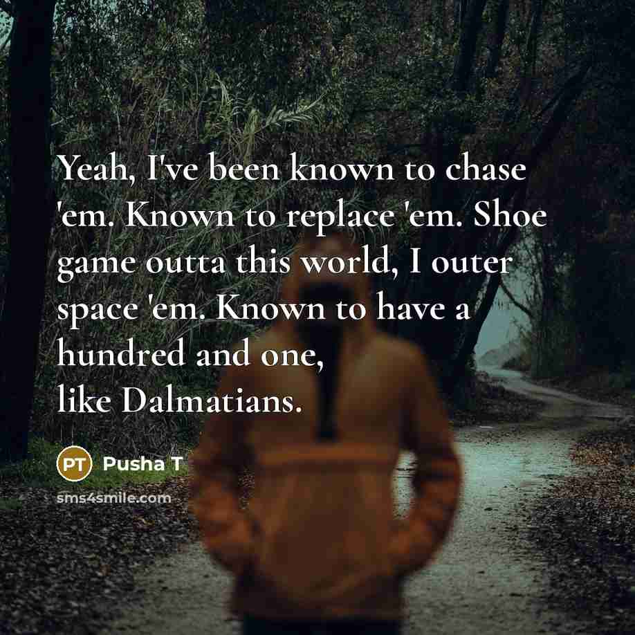 “Yeah, I've been known to chase 'em. Known to replace…” quote by Pusha T