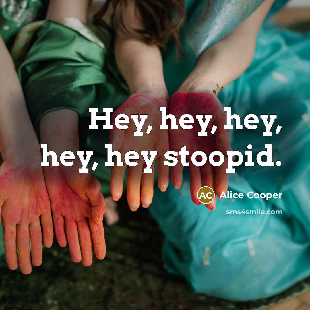 “Hey, hey, hey, hey, hey stoopid.…” quote by Alice Cooper