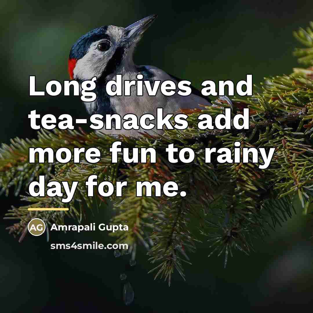 “Long drives and tea-snacks add more fun to rainy day…” quote by Amrapali Gupta