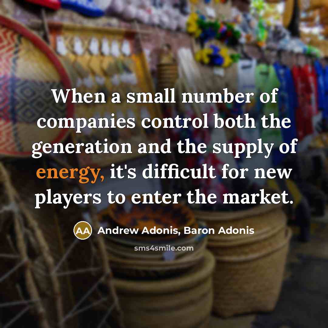 “When a small number of companies control both the generation…” quote by Andrew Adonis, Baron Adonis