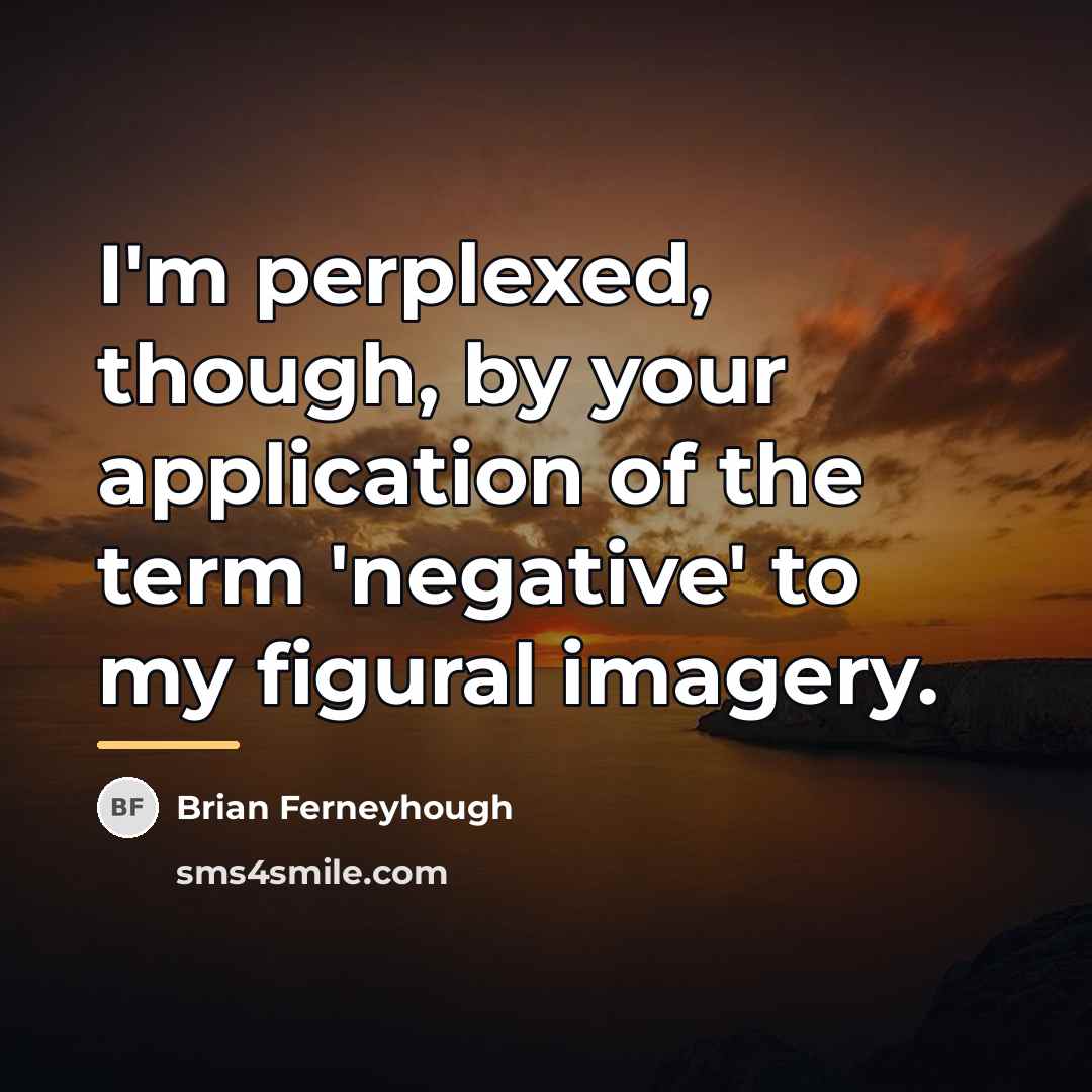 “I'm perplexed, though, by your application of the term 'negative'…” quote by Brian Ferneyhough