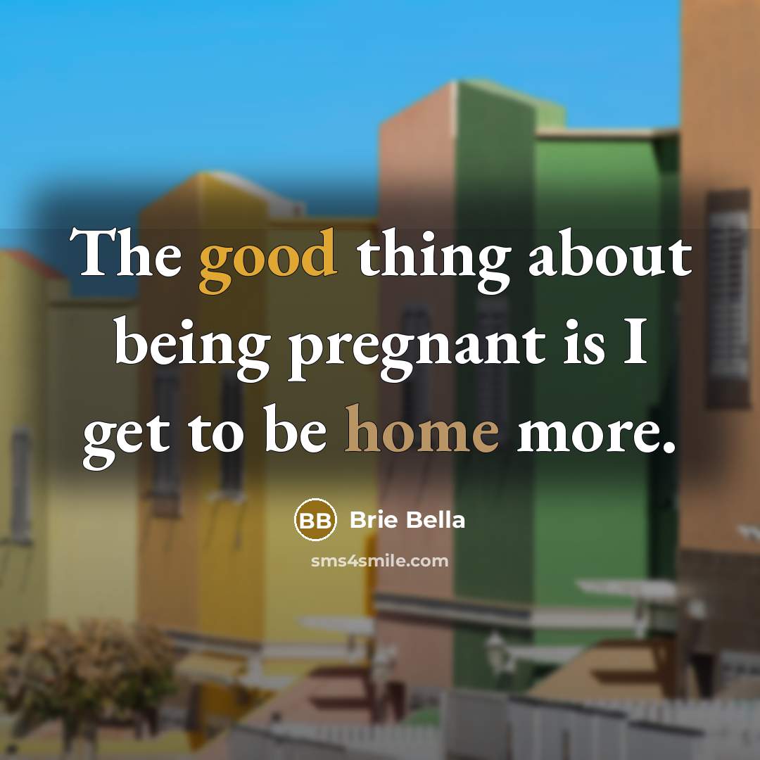 “The good thing about being pregnant is I get to…” quote by Brie Bella