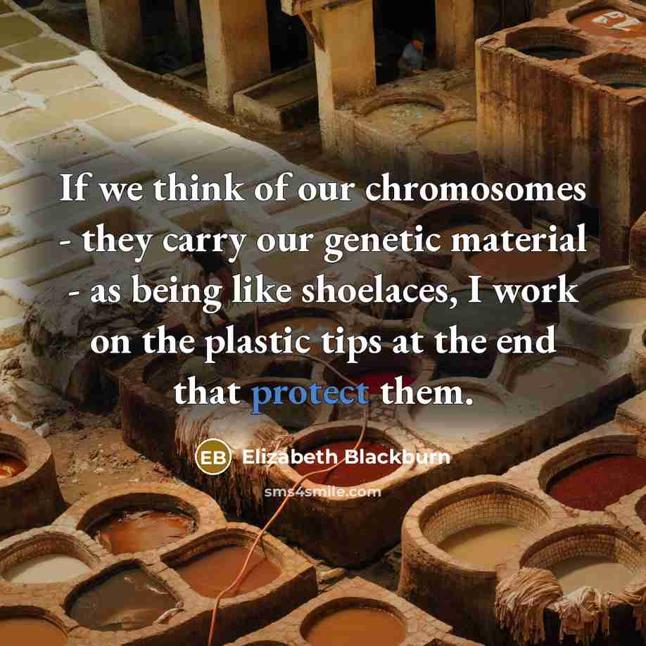“If we think of our chromosomes - they carry our…” quote by Elizabeth Blackburn