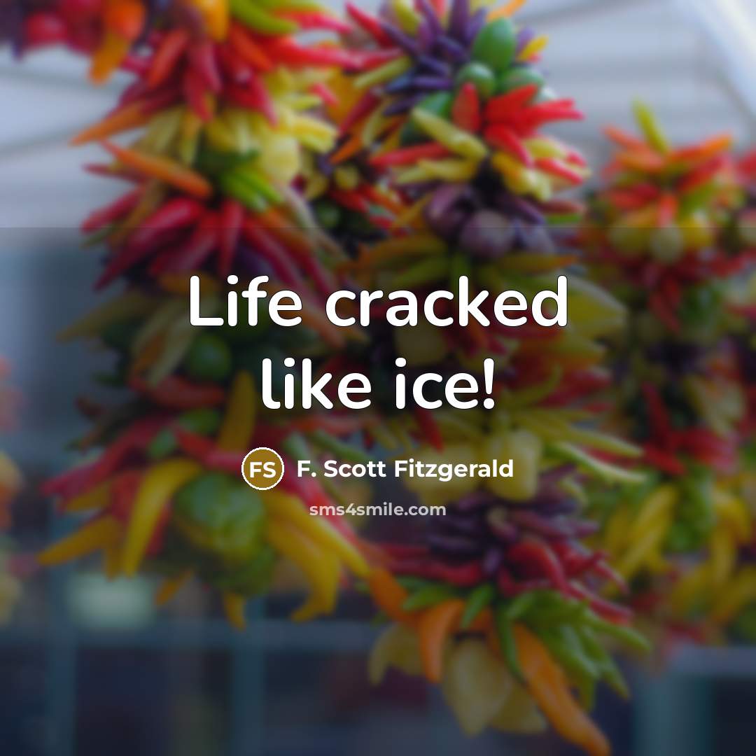 “Life cracked like ice!” quote by F. Scott Fitzgerald