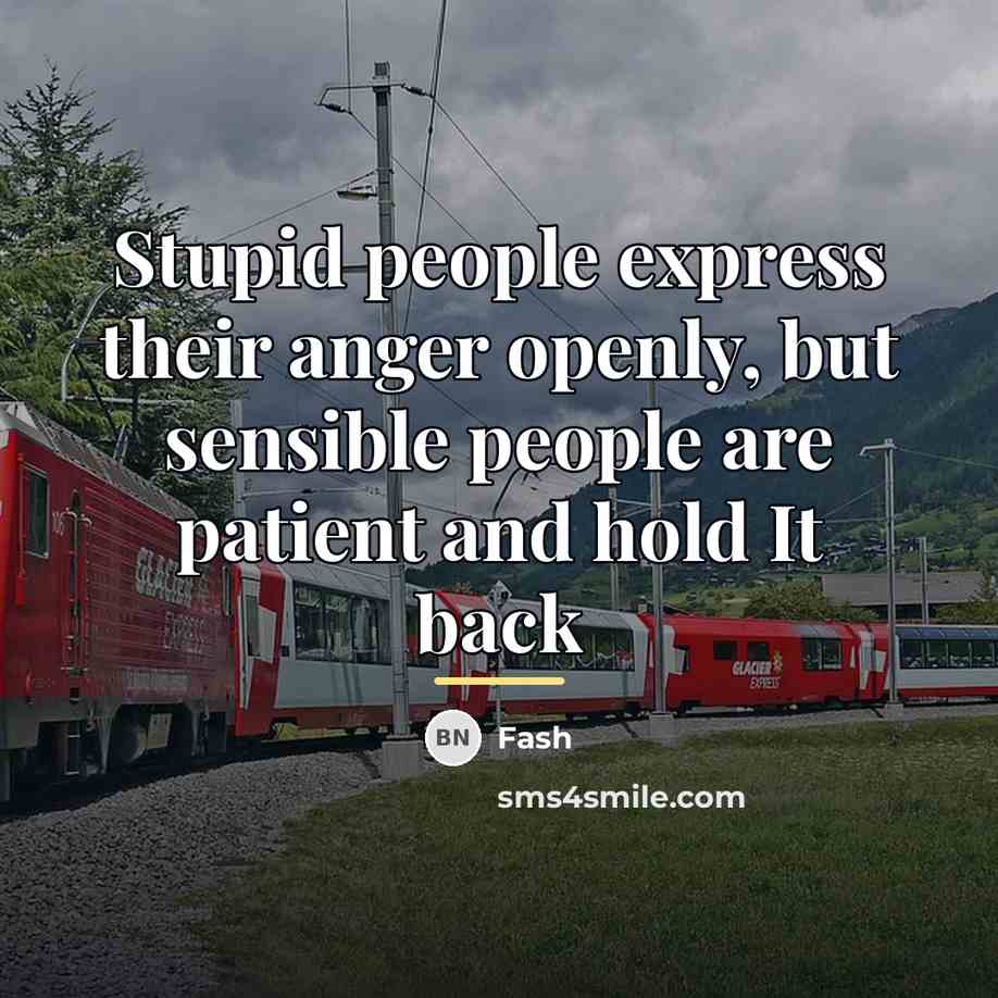 “Stupid people express their anger openly, but sensible people are…” quote by Fash