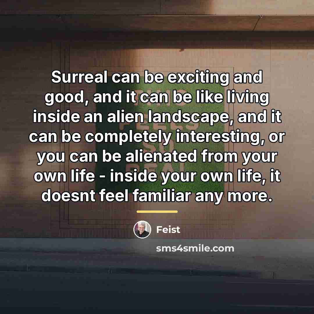 “Surreal can be exciting and good, and it can be…” quote by Feist
