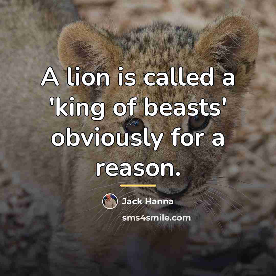 “A lion is called a 'king of beasts' obviously for…” quote by Jack Hanna