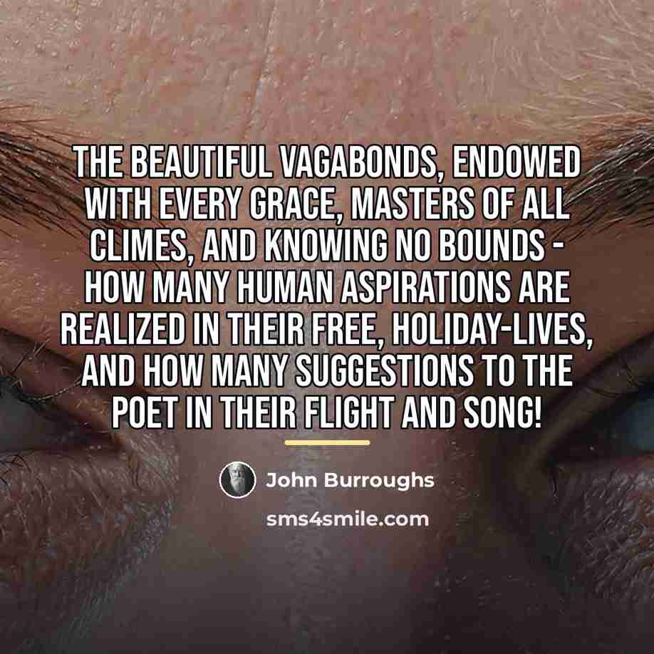 “The beautiful vagabonds, endowed with every grace, masters of all…” quote by John Burroughs