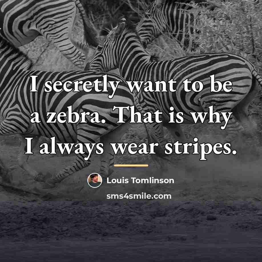 “I secretly want to be a zebra. That is why…” quote by Louis Tomlinson