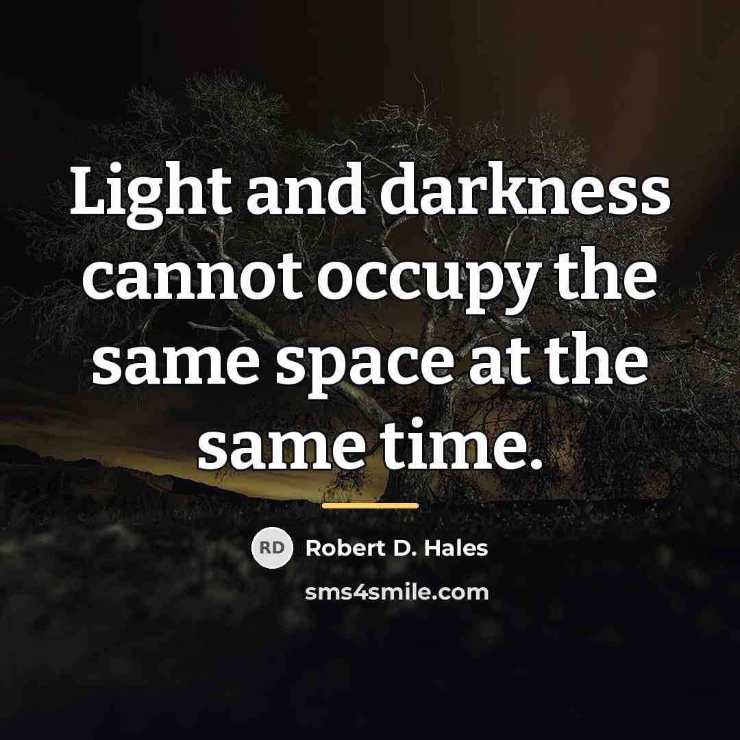 “Light and darkness cannot occupy the same space at the…” quote by Robert D. Hales