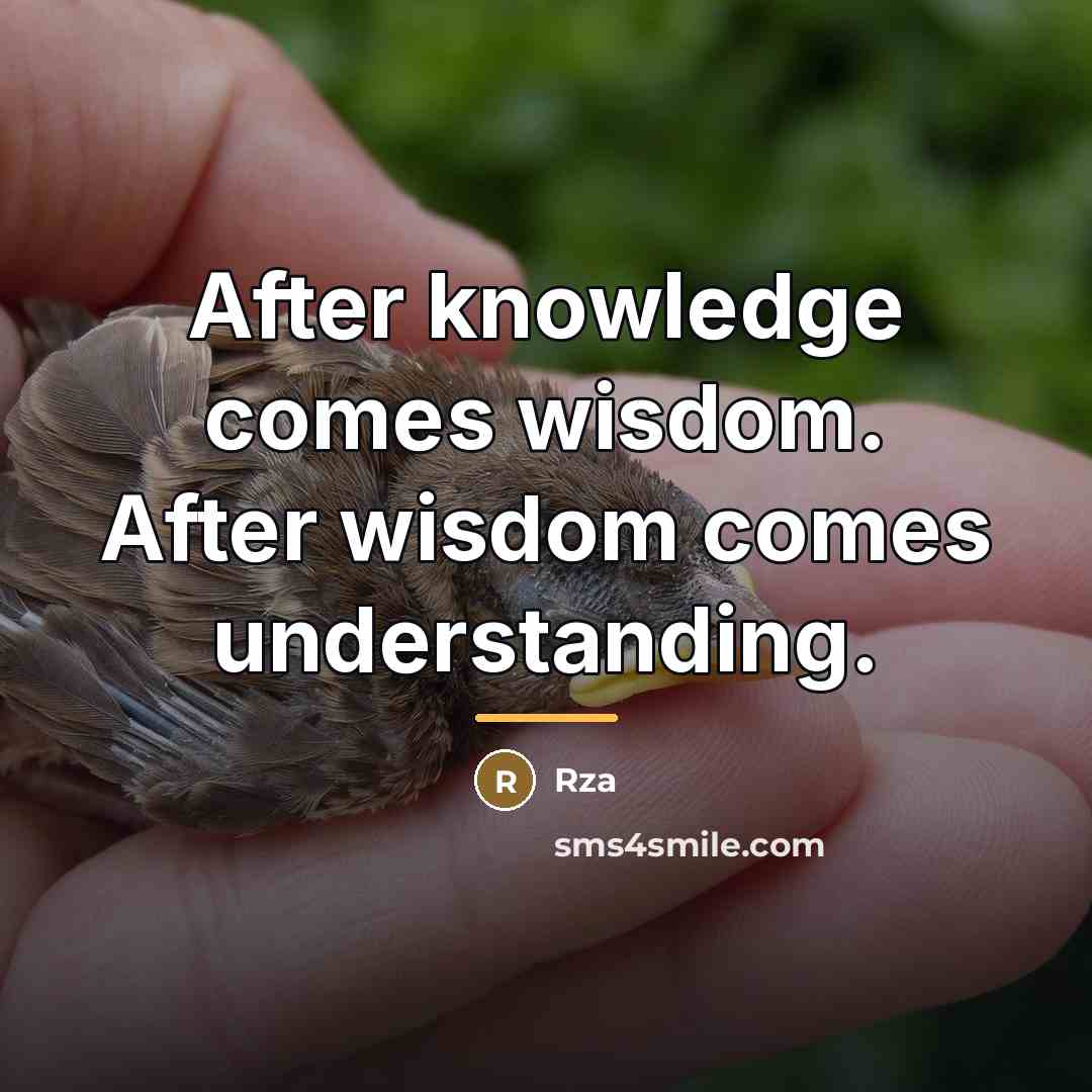 “After knowledge comes wisdom. After wisdom comes understanding.…” quote by RZA