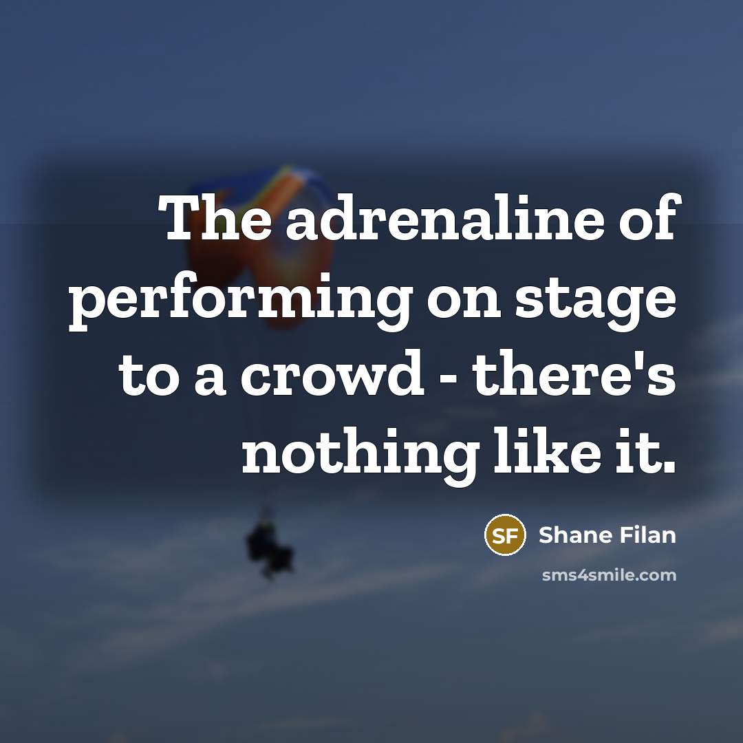 “The adrenaline of performing on stage to a crowd -…” quote by Shane Filan