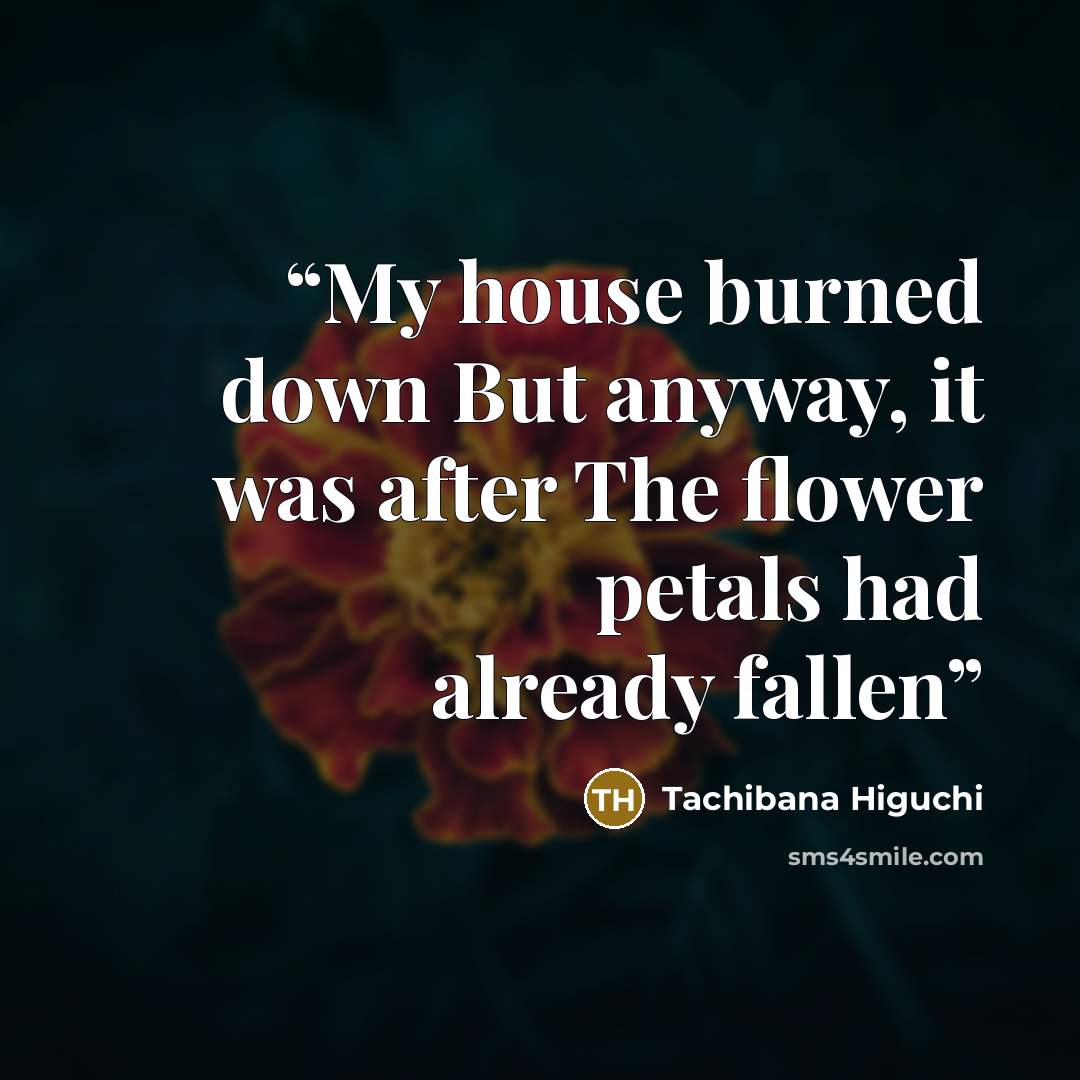 “My house burned down But anyway, it was after The flower petals had already fallen” quote by Tachibana Higuchi