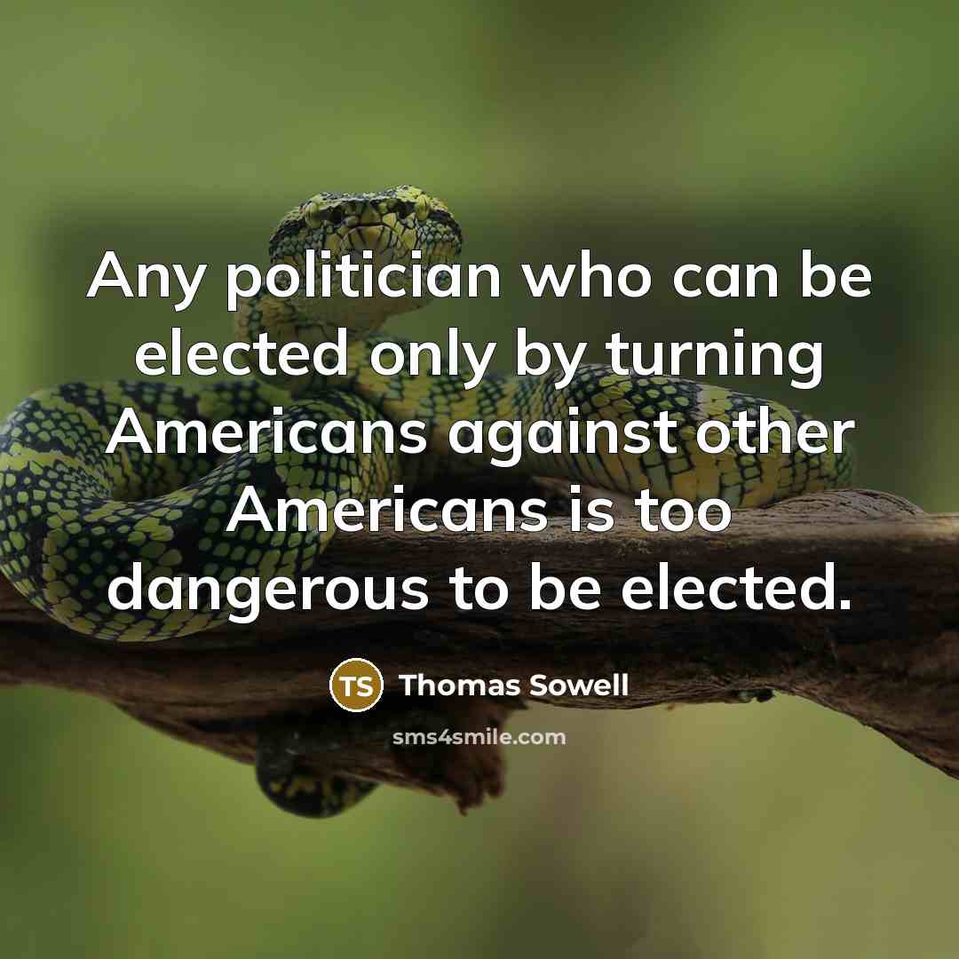 “Any politician who can be elected only by turning Americans…” quote by Thomas Sowell
