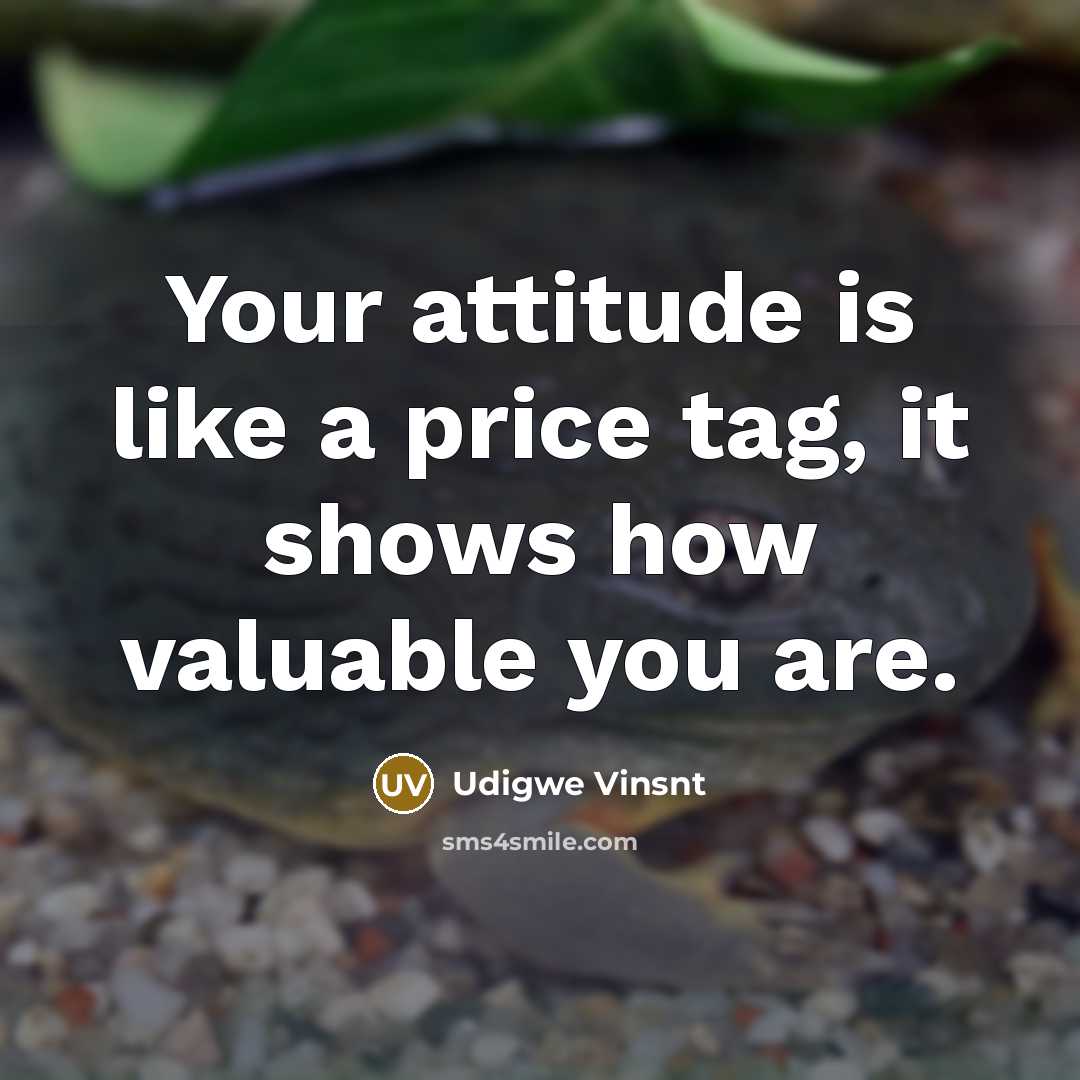 “Your attitude is like a price tag, it shows how…” quote by Udigwe Vinsnt
