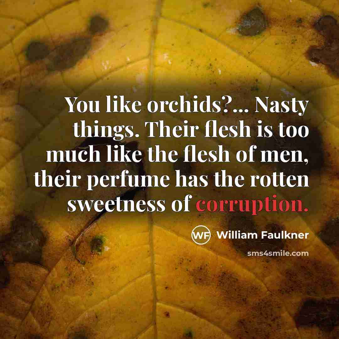 “You like orchids?... Nasty things. Their flesh is too much…” quote by William Faulkner