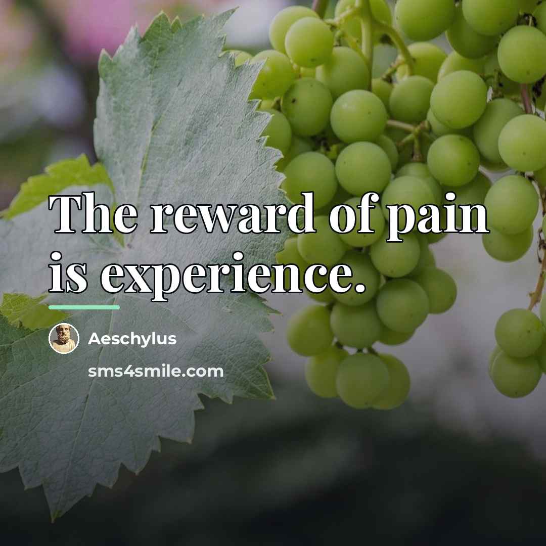 “The reward of pain is experience.…” quote by Aeschylus