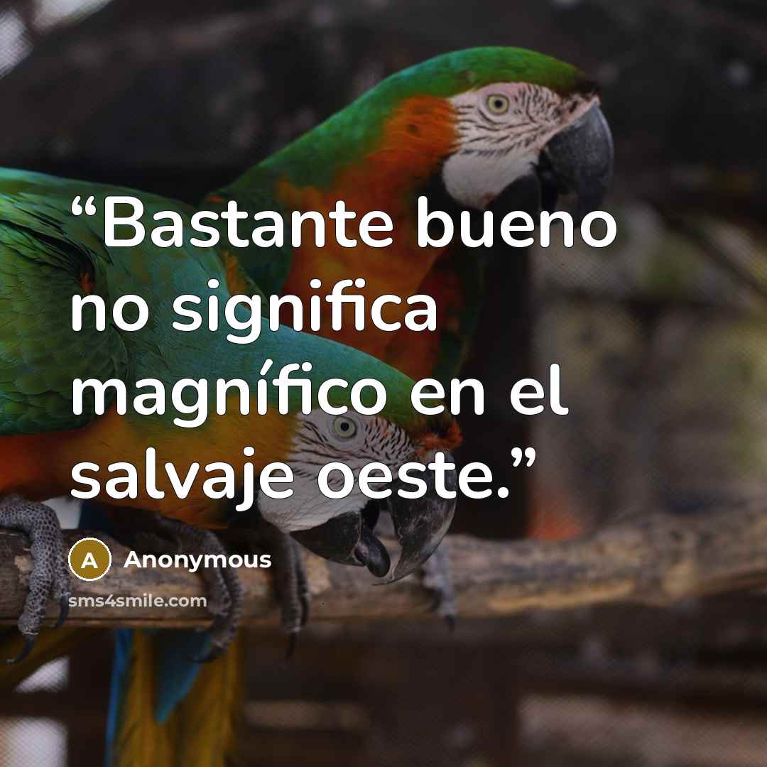 “Bastante bueno no significa magnífico en el salvaje oeste.” quote by Anonymous