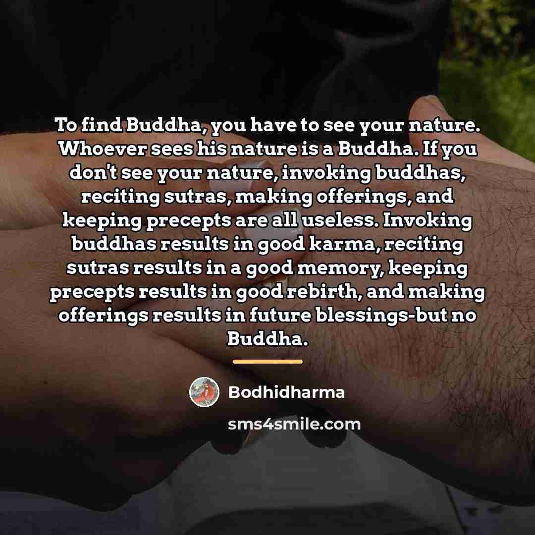 “To find Buddha, you have to see your nature. Whoever…” quote by Bodhidharma