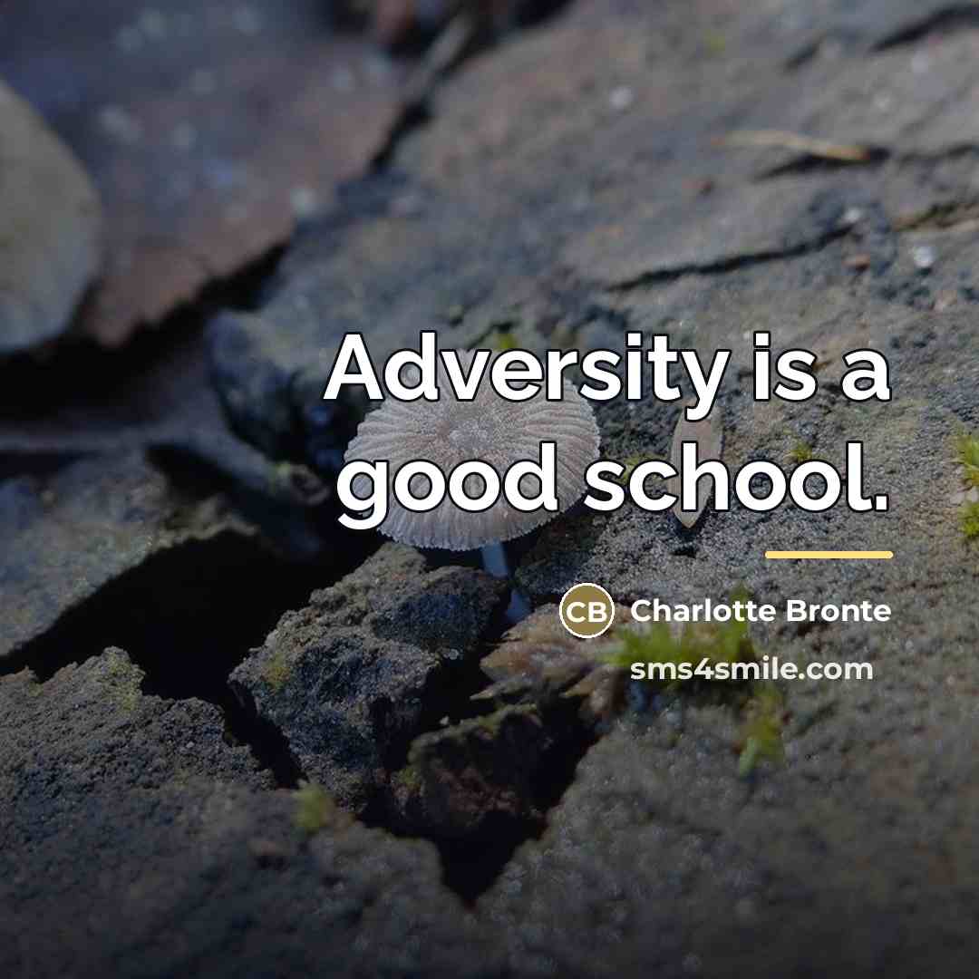 “Adversity is a good school.…” quote by Charlotte Bronte