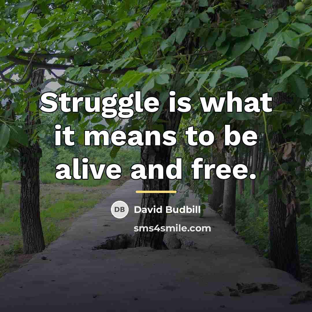 “Struggle is what it means to be alive and free.…” quote by David Budbill