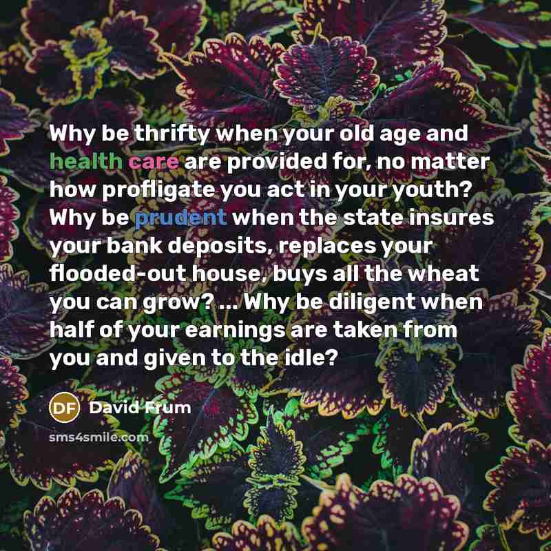 “Why be thrifty when your old age and health care…” quote by David Frum