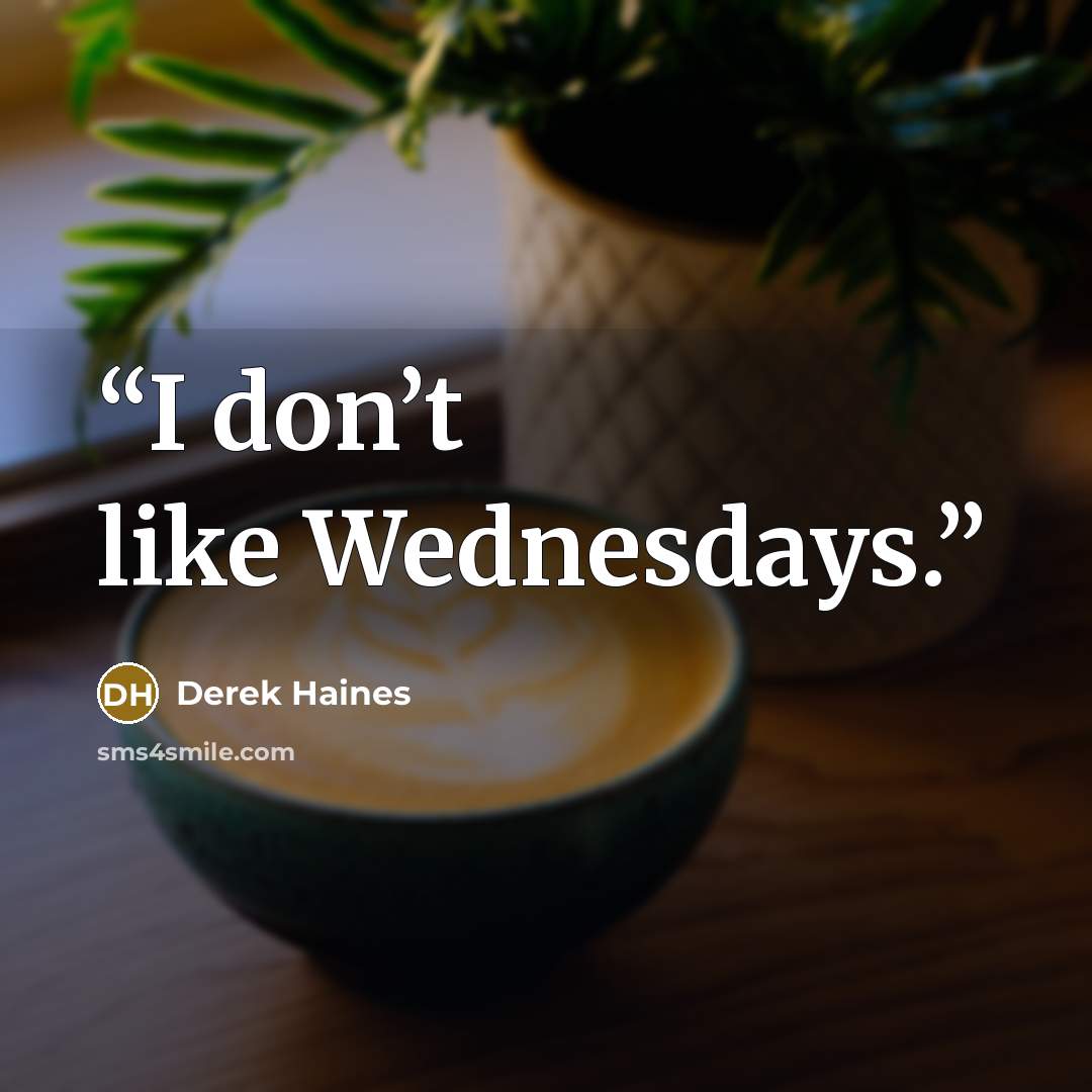 “I don’t like Wednesdays.” quote by Derek Haines