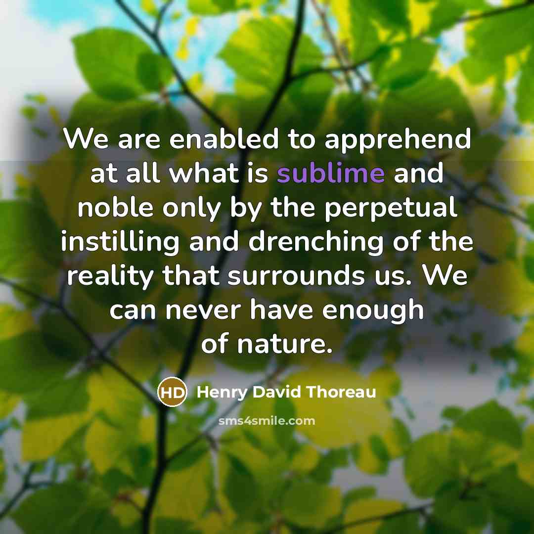 “We are enabled to apprehend at all what is sublime…” quote by Henry David Thoreau