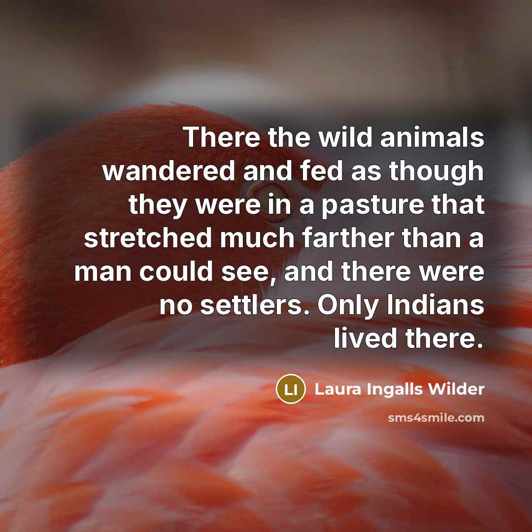 “There the wild animals wandered and fed as though they…” quote by Laura Ingalls Wilder