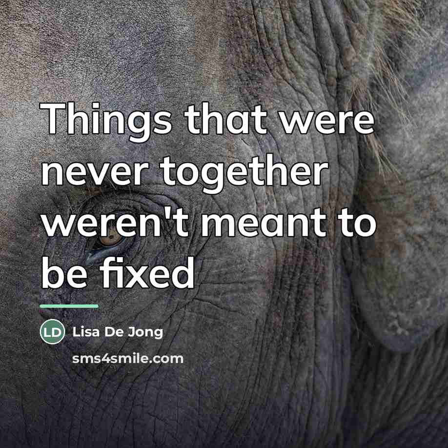 “Things that were never together weren't meant to be fixed…” quote by Lisa De Jong