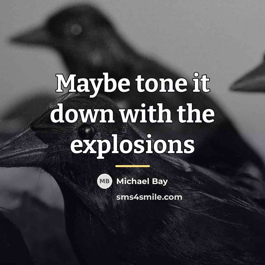 “Maybe tone it down with the explosions…” quote by Michael Bay